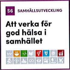 Globalt mål – samhällsutveckling